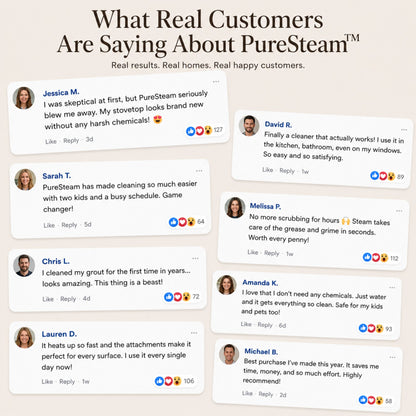 Iviory PureSteam Cleaner