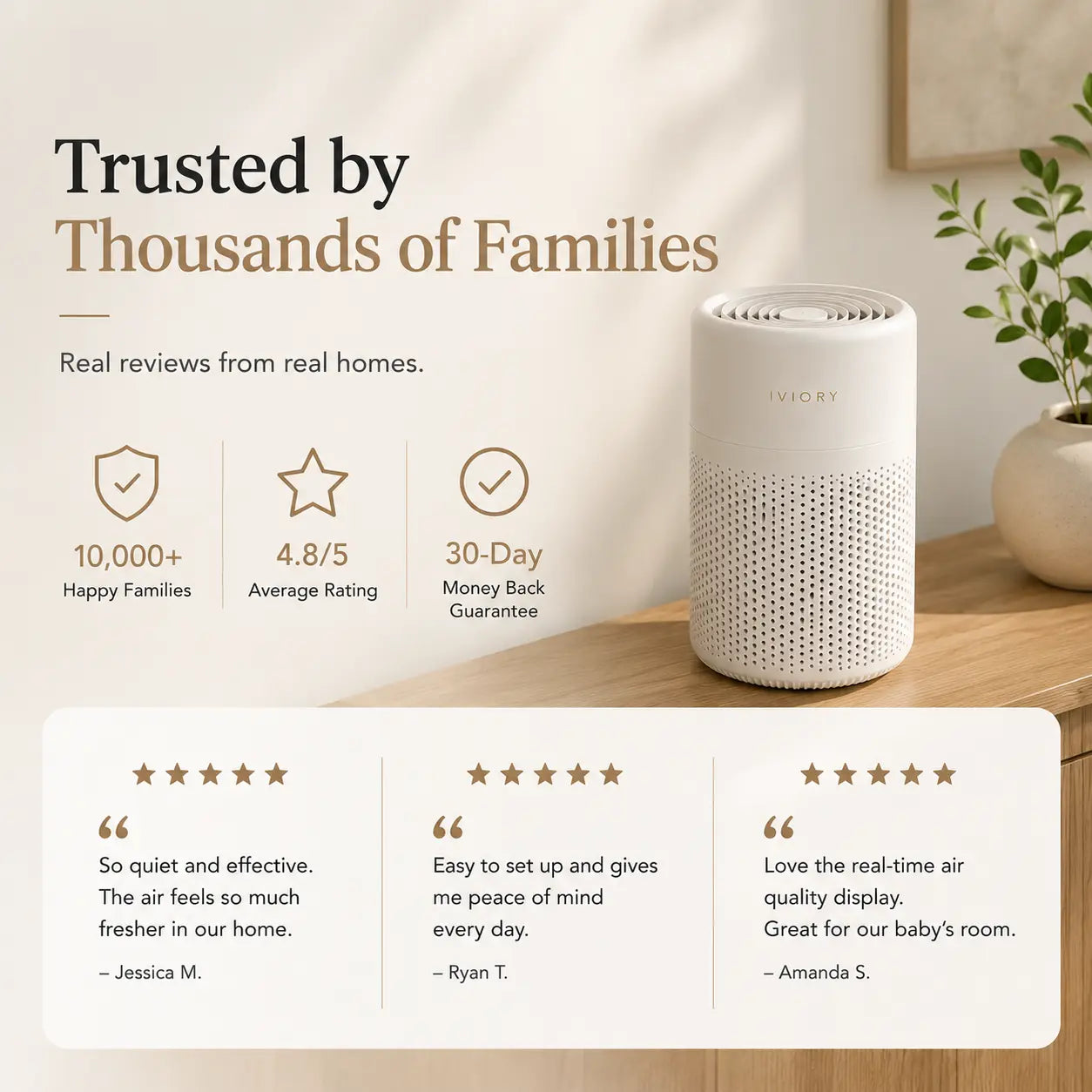 Iviory Air Purifier For Safety